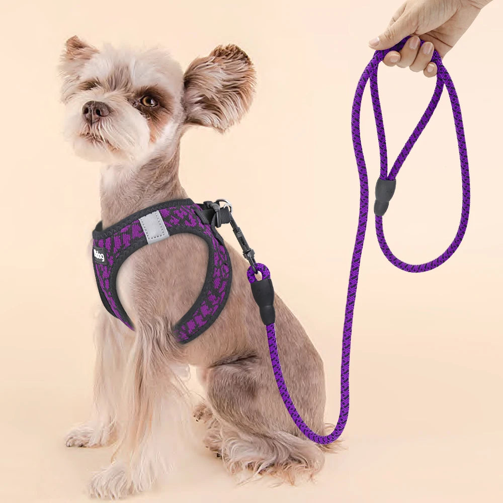 Breathable Dog Harness and Leash Set Reflective Mesh Pet Puppy Harness Vest Lead Leahes Chihuahua Harness for Small Dogs
